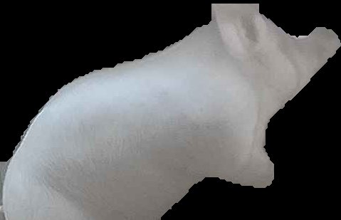 Crop