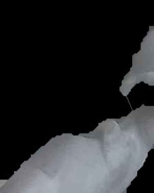 Crop