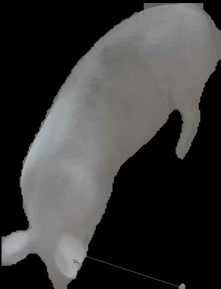 Crop