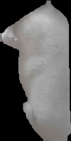 Crop