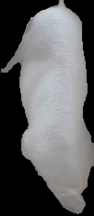 Crop