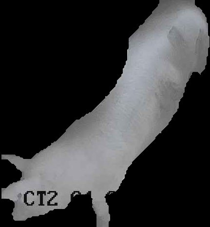 Crop