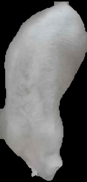 Crop