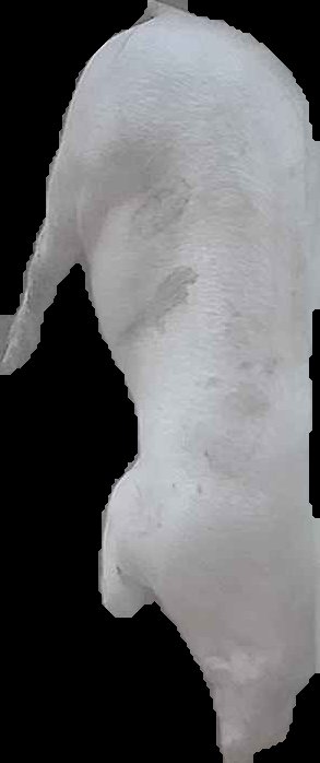 Crop