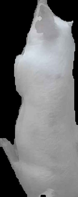 Crop