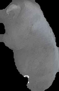 Crop