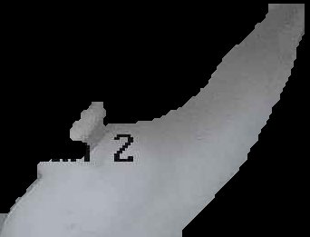 Crop