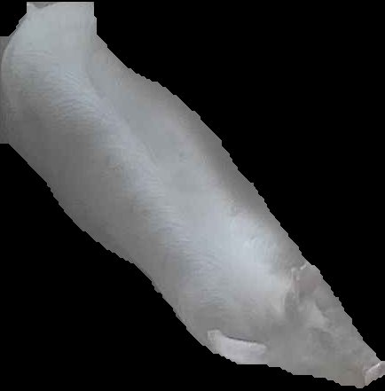 Crop
