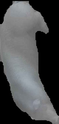 Crop