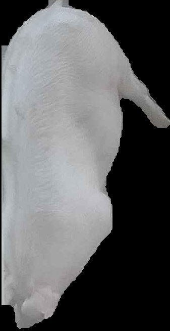 Crop