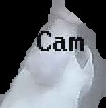 Crop