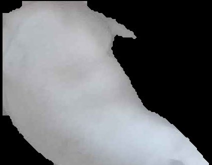 Crop
