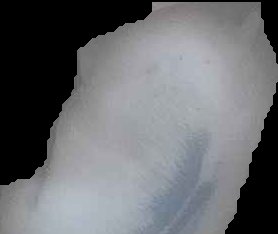 Crop