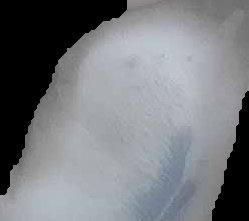 Crop