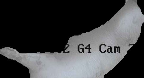 Crop