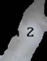 Crop