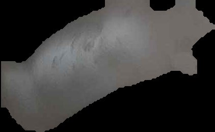 Crop