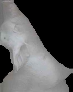 Crop
