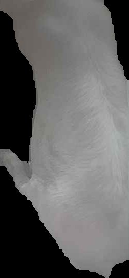 Crop