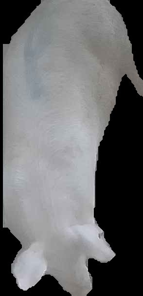 Crop