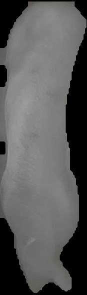 Crop