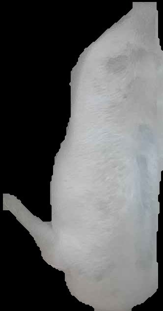 Crop