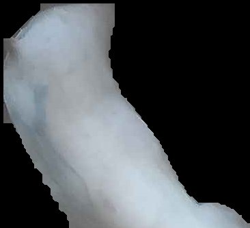 Crop