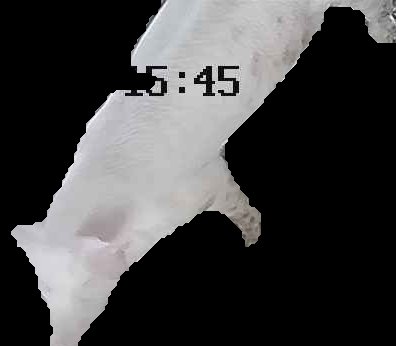 Crop
