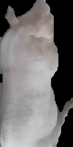 Crop