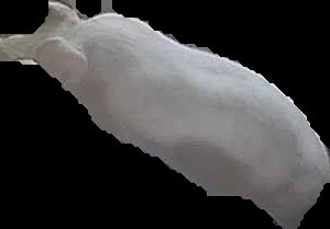 Crop