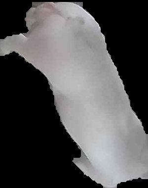 Crop