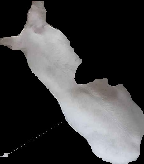 Crop