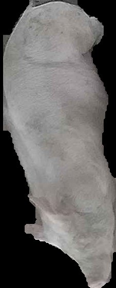 Crop