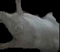 Crop