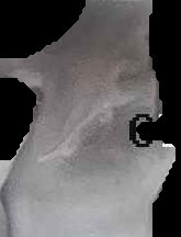 Crop