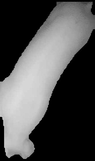 Crop