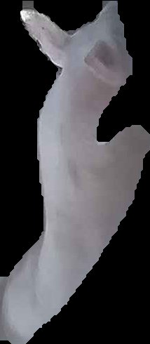 Crop