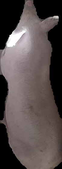 Crop