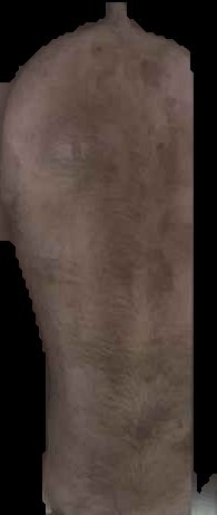 Crop