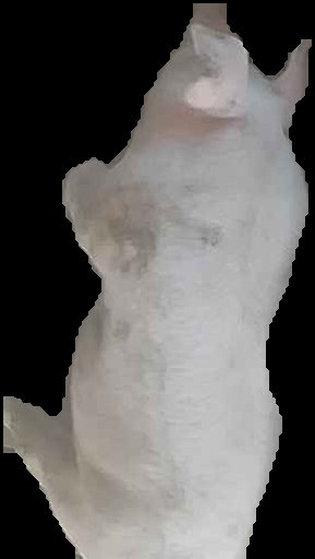 Crop