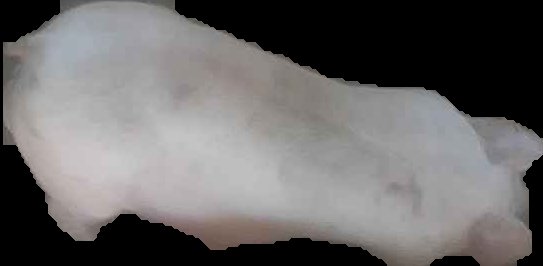 Crop