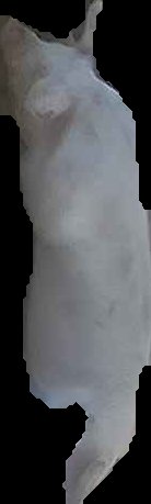 Crop