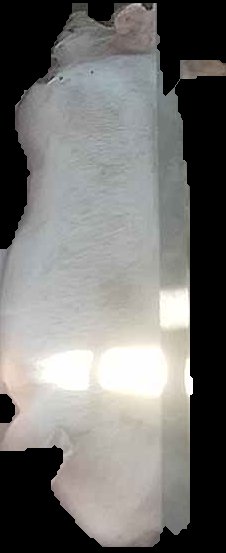 Crop