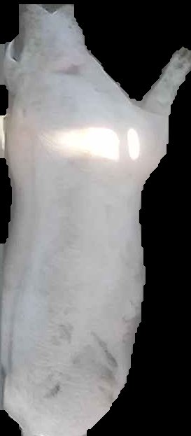 Crop