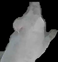 Crop