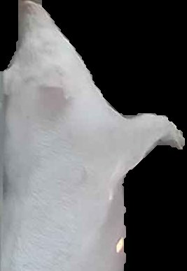 Crop