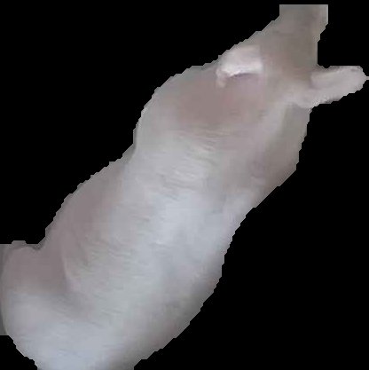 Crop