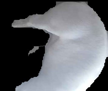 Crop
