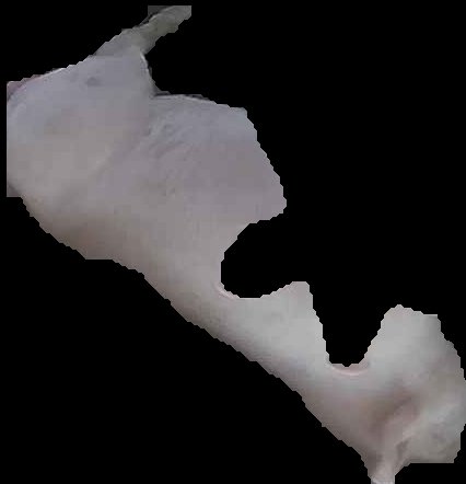 Crop