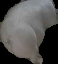Crop